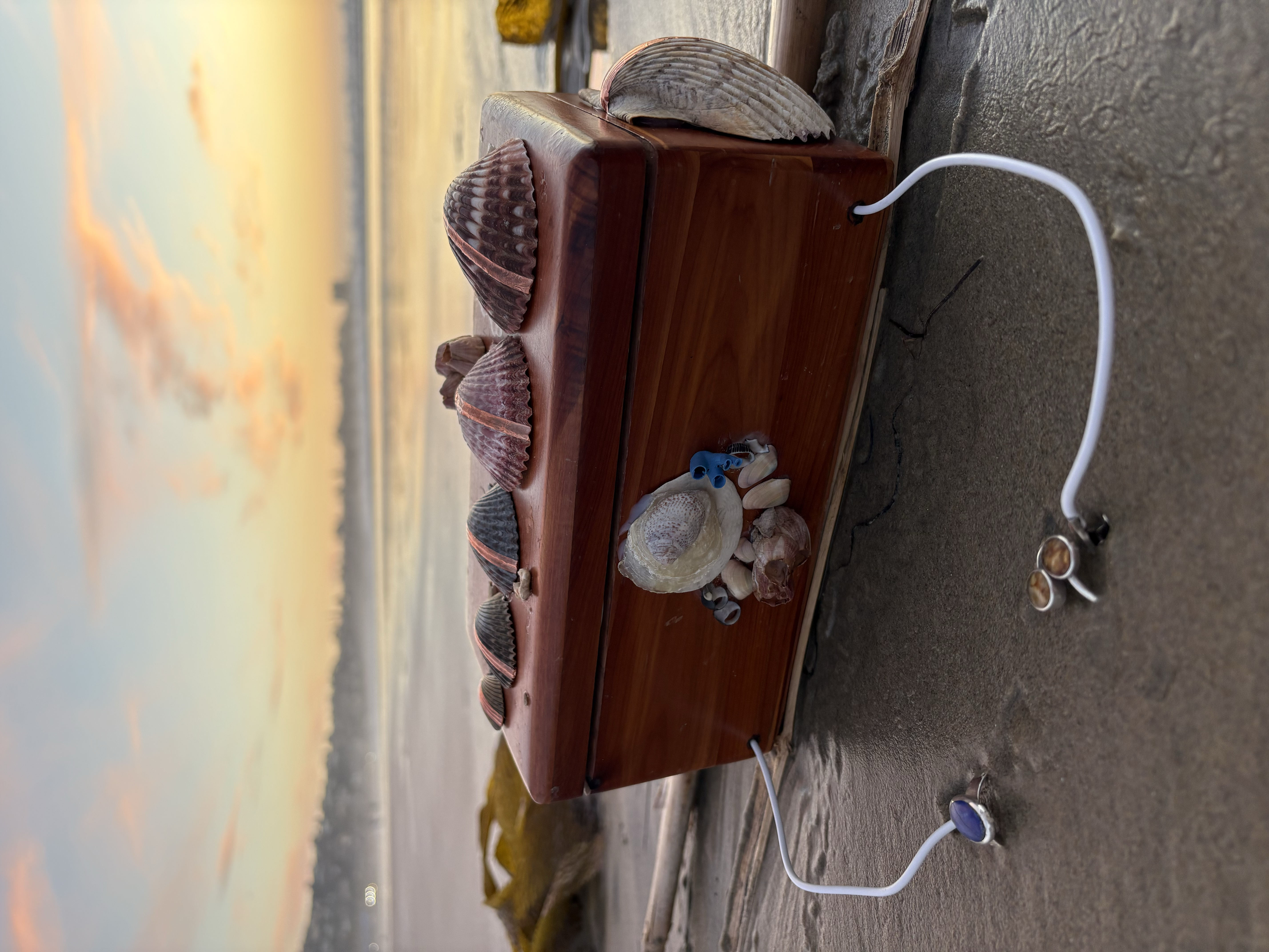 Angled side view of Shellfegio Synthesizer at sunset