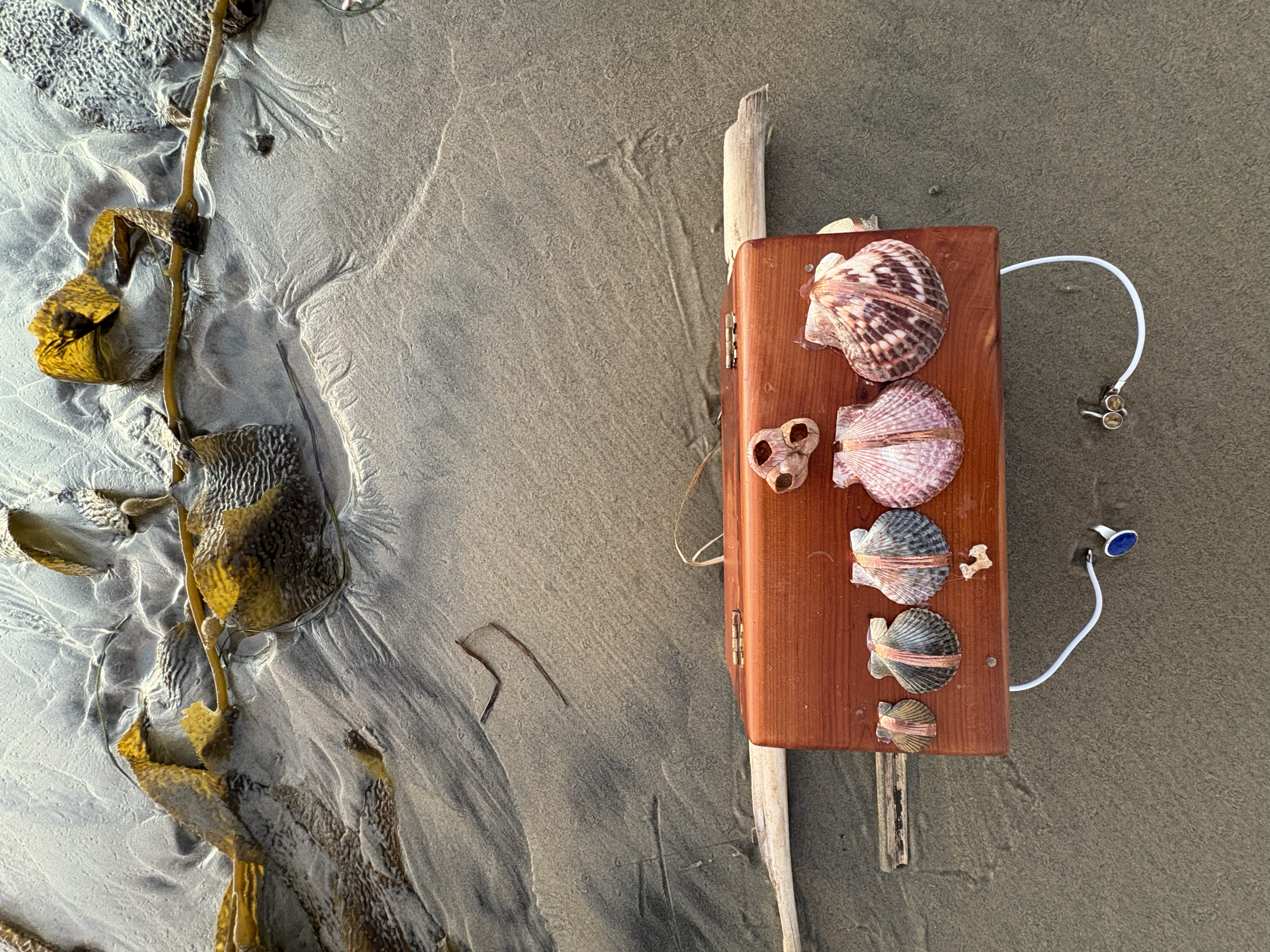 Shellfegio Synthesizer