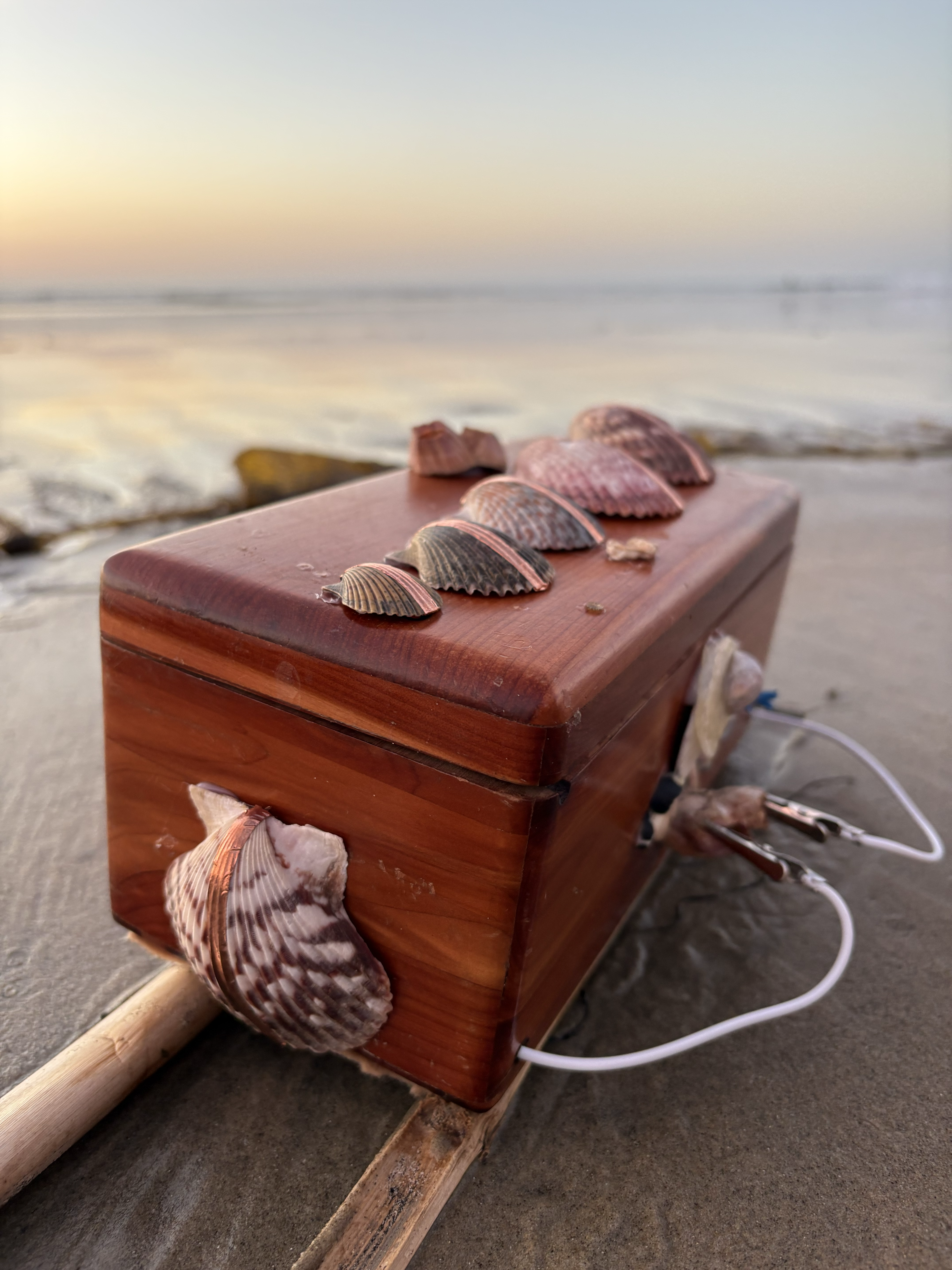 Additional view of Shellfegio Synthesizer