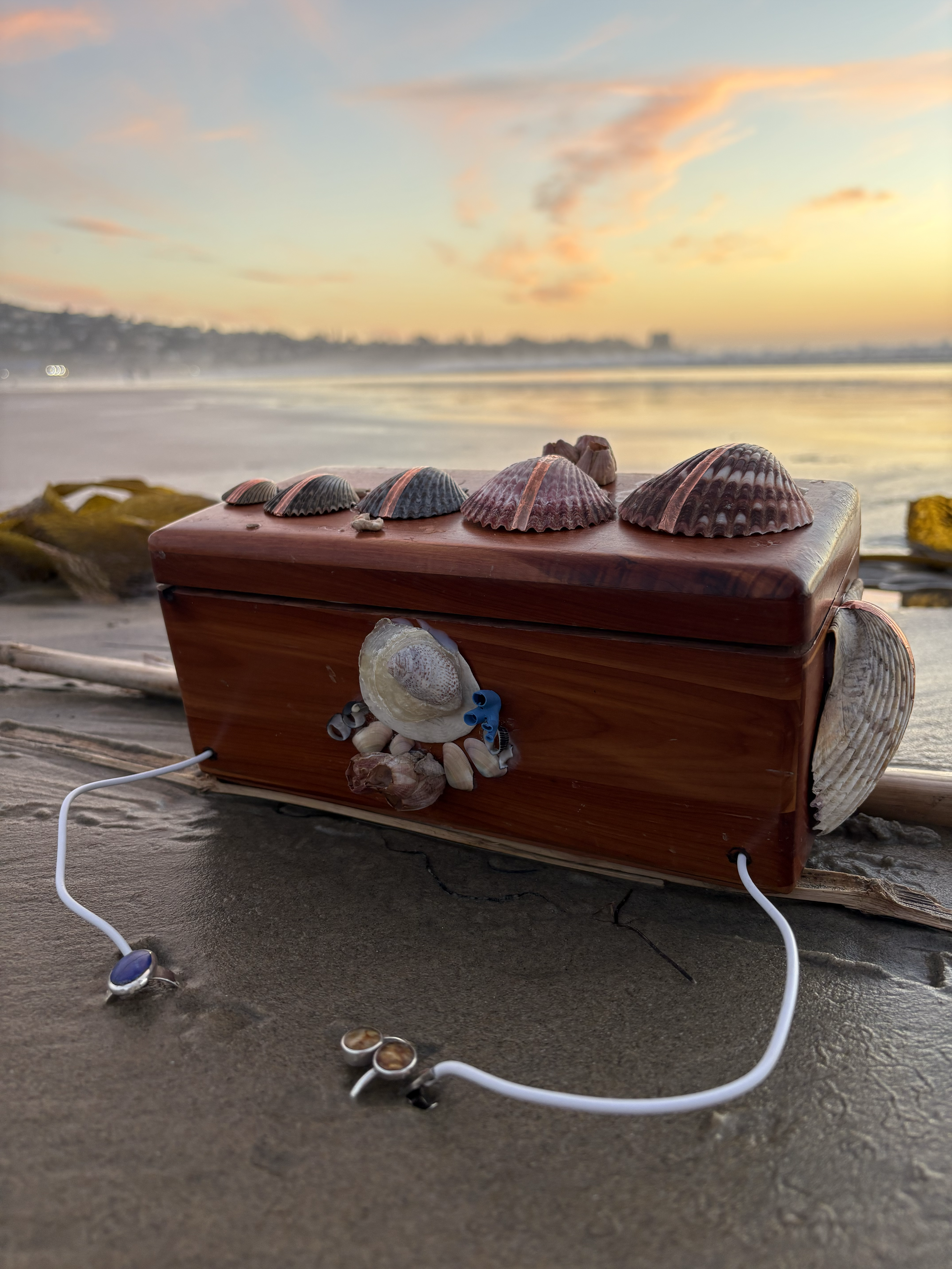 Angled side view of Shellfegio Synthesizer at sunset