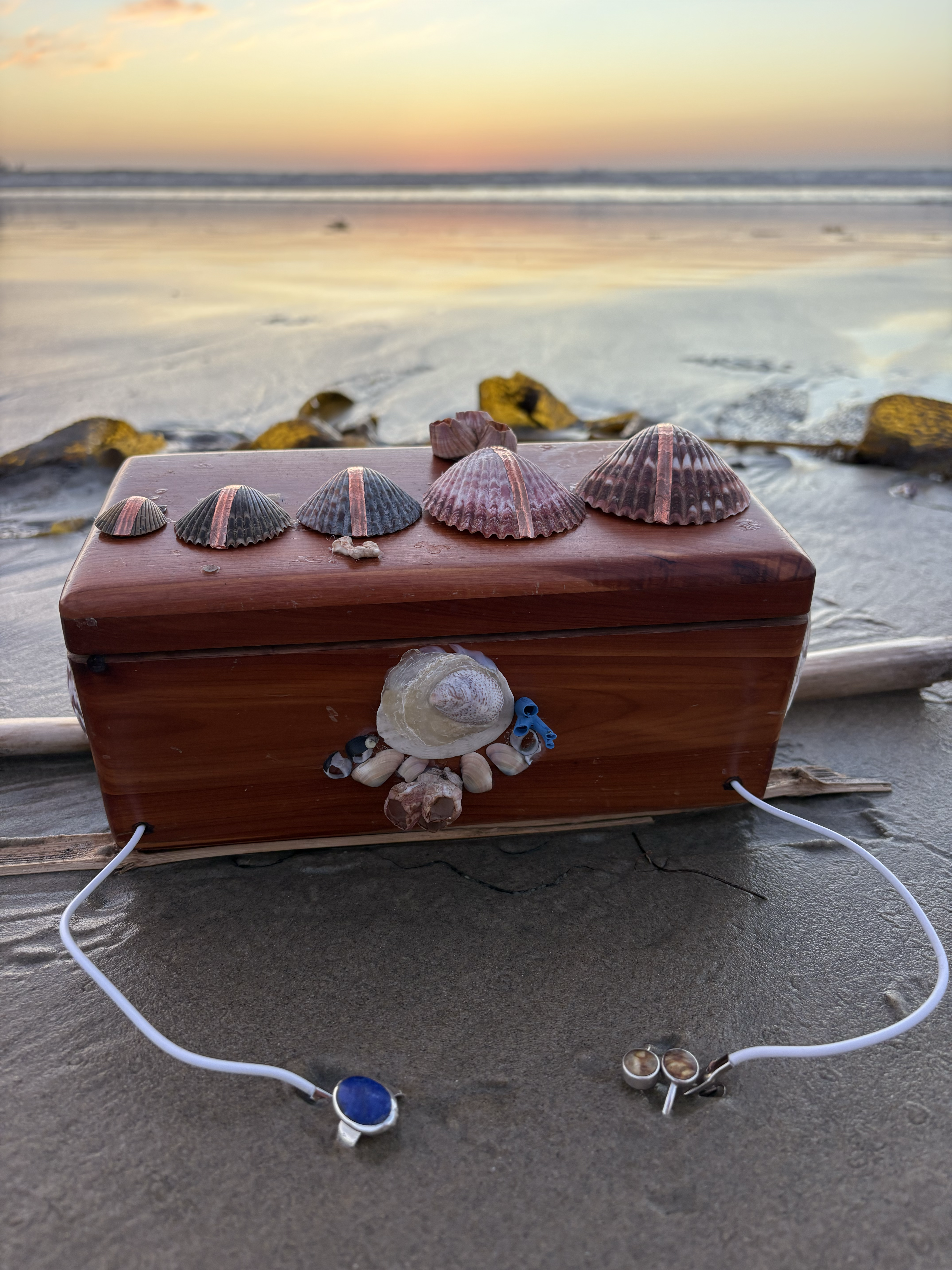 Front view of Shellfegio Synthesizer